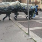 eco-carnevale-2014-sfilata-011