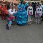 eco-carnevale-2014-sfilata-013